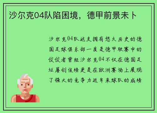 沙尔克04队陷困境，德甲前景未卜